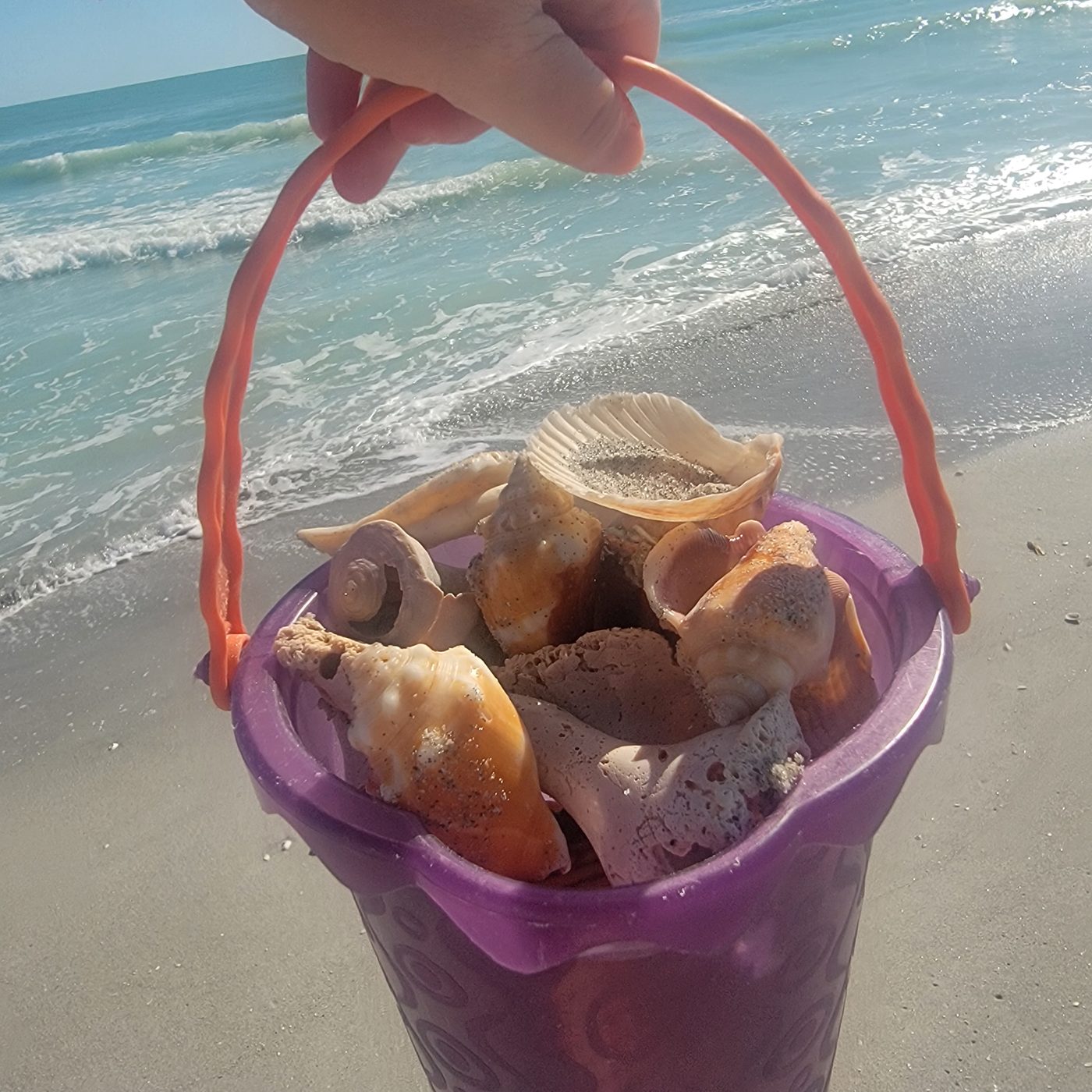 Finding purpose on Sanibel Island, Florida.